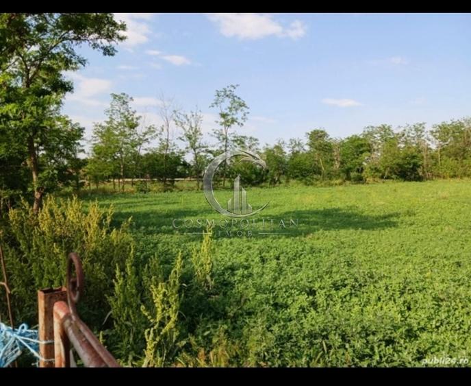 Teren intravilan de 3580 mp, în Călțuna