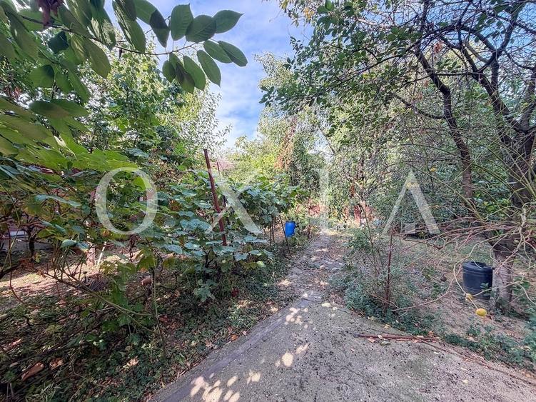 Casă cu 3 camere cu Teren 746 Mp în Mircea cel Bătrân