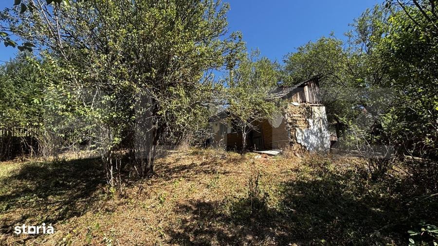 Teren intravilan 2020 mp, zona linistita-sat Ungurenii Mici, Ghercesti - 5