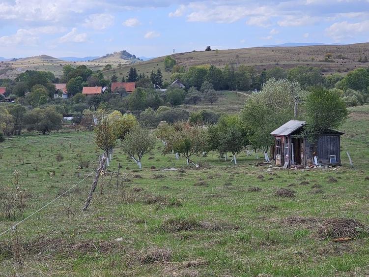 Spațiu comercial, în Mănășturu Românesc