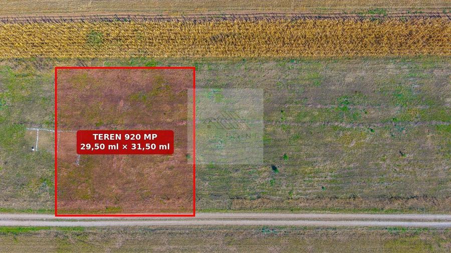 Teren Construcții intravilan de 460 mp, în Tărlungeni
