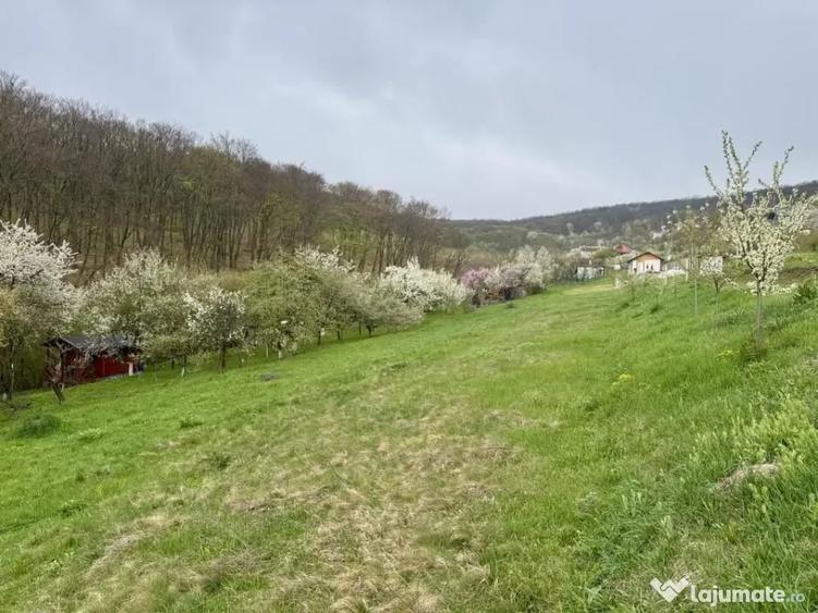 Teren intravilan Deva- Roci - 5