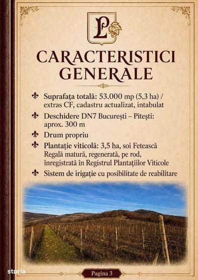 Spațiu comercial, în Călinești