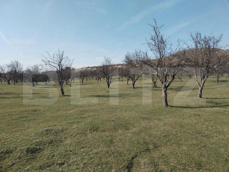 Teren Construcții intravilan de 90000 mp, în Aninoasa