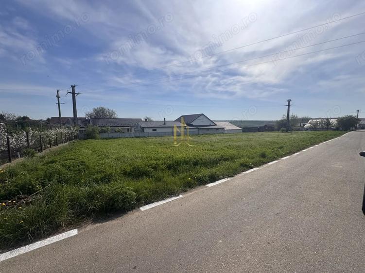 Teren de 1699 mp, în Moara