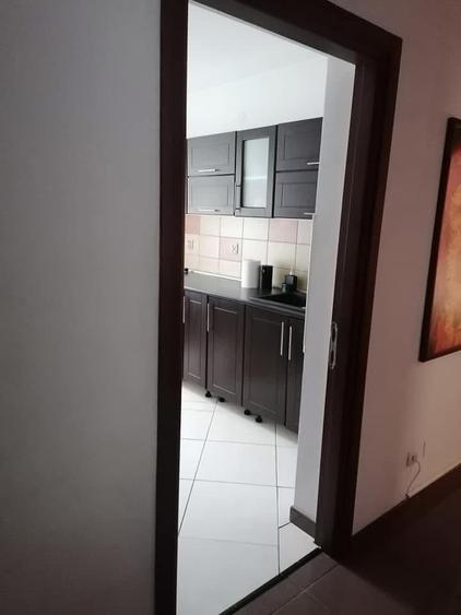 Apartament cu 2 camere decomandat în Terezian