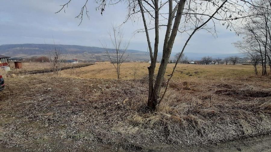 Teren agricol extravilan de 3684 mp, în Iris