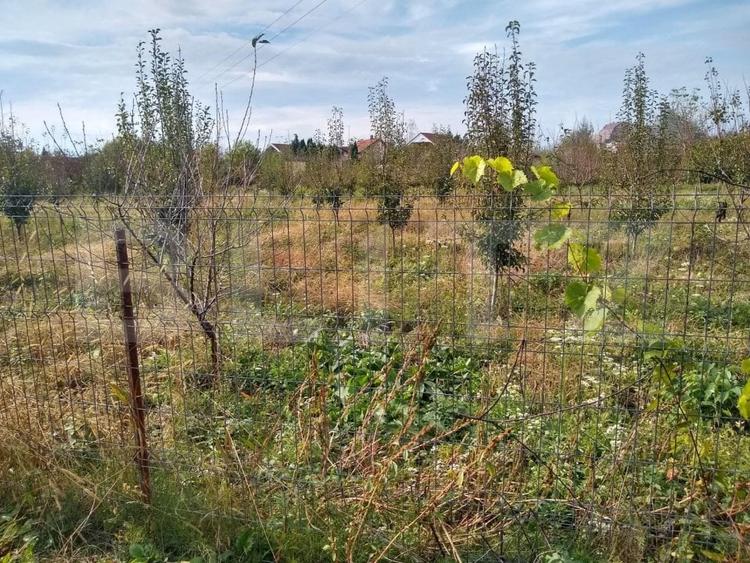 Teren Construcții intravilan de 1400 mp, în Bercu Roșu