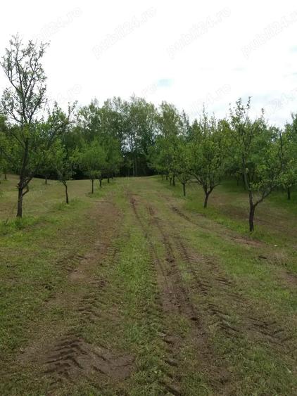Teren de 20000 mp, în Rădulești
