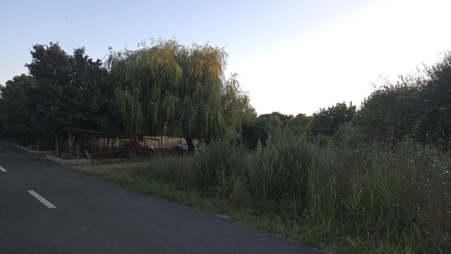 Teren intravilan de vanzare 605 mp, Padurea Comorova - 4