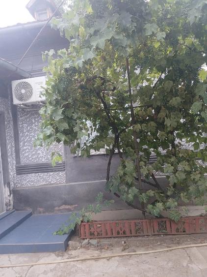 Casă cu 3 camere în Exterior Vest