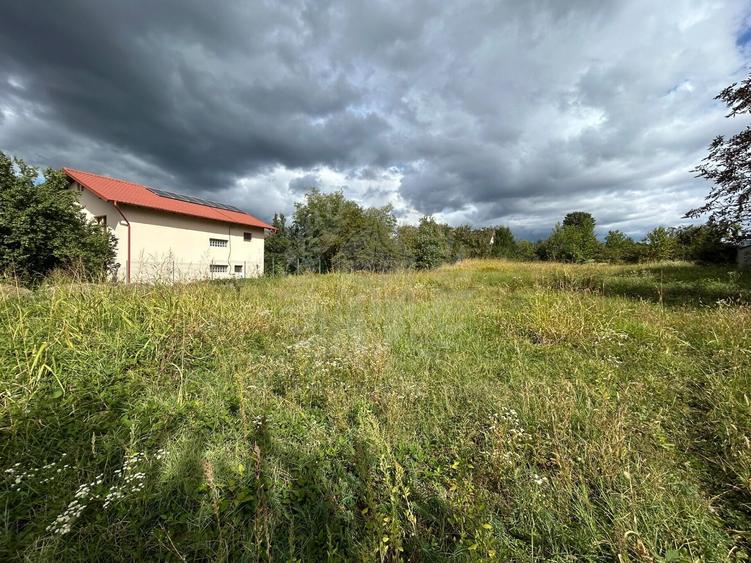 Teren Construcții intravilan de 3009 mp, în Păulești
