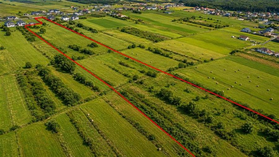 Teren Construcții intravilan de 21700 mp, în Solovăstru