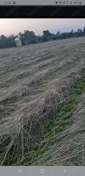 Teren de 3525 mp, în Rociu