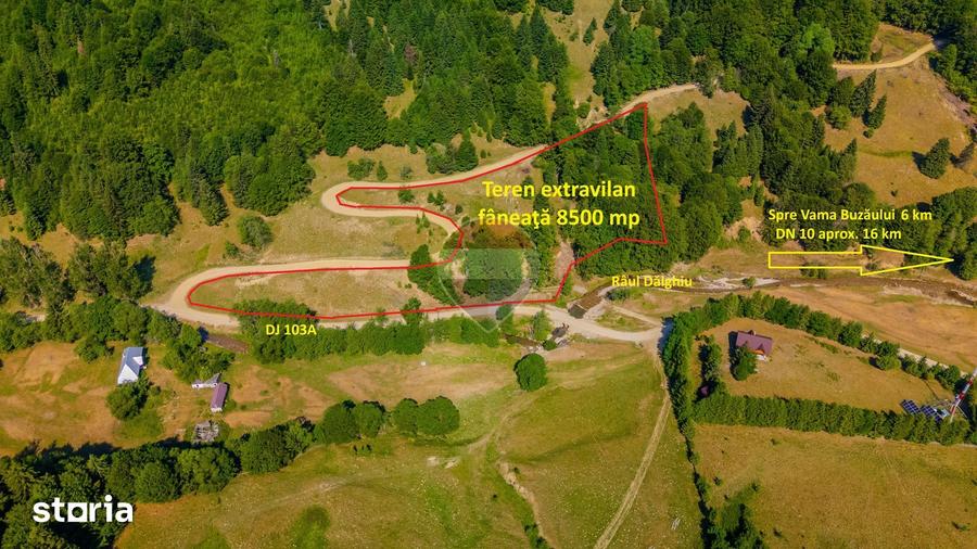 Teren de 8500 mp, în Tărlungeni