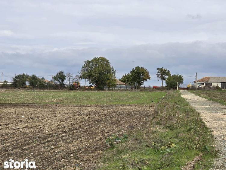 Comuna Amzacea- sat G.Scari?oreanu -Ferma zootehnica , teren 5,1ha - 6