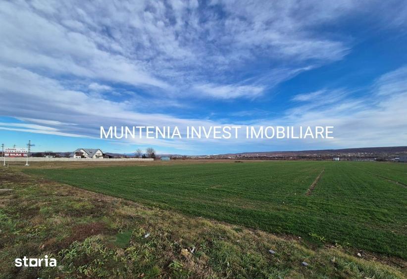 Teren intravilan 23504 mp. com.Maracineni,sat Argeselu. - 6