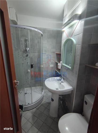 Apartament 2 camere Alexandru - Pasarela Octav Bancila - 2