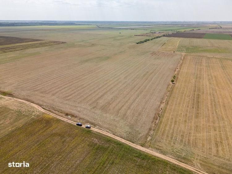 Dascalu - Teren Intravilan 7500 Mp, Investitie! - 5