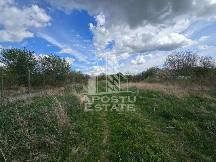 Teren Construcții intravilan de 2000 mp, în Fântânele