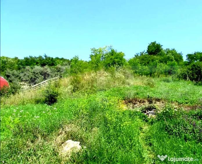 Investitie !Teren extravilan,15554 mp, zona in plina dezvolt - 2