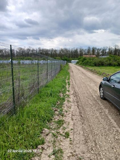 Teren Construcții intravilan de 900 mp, în Cernica