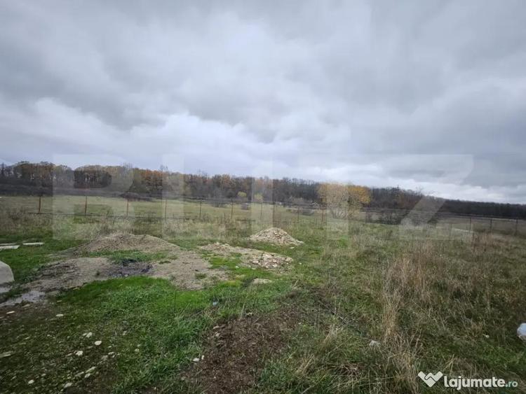 Teren de 1184 mp, în Abator