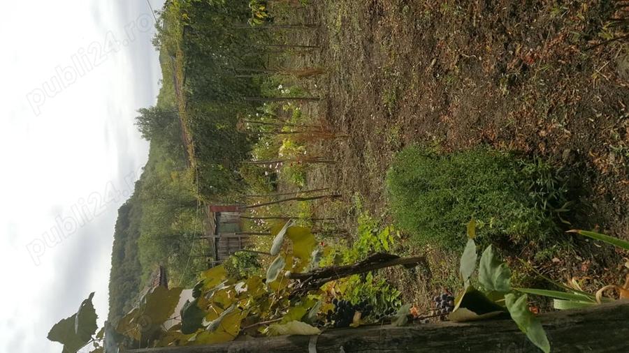 Casă cu 5 camere cu Teren 3200 Mp în Stângăceaua