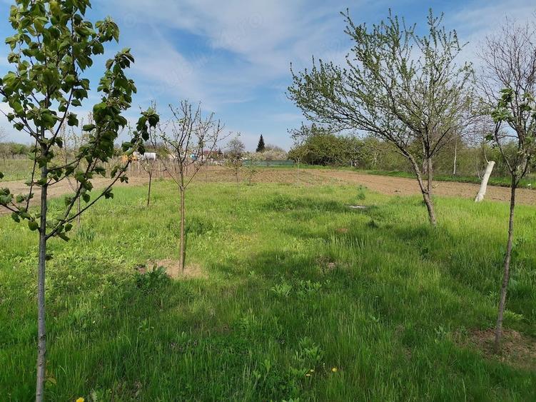 Casă cu 2 camere cu Teren 1411 Mp în Lipia