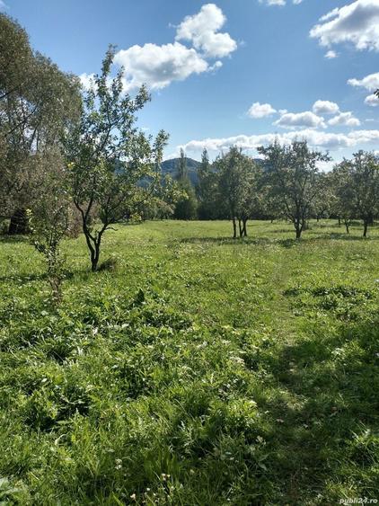 Teren de 3430 mp, în Malu cu Flori