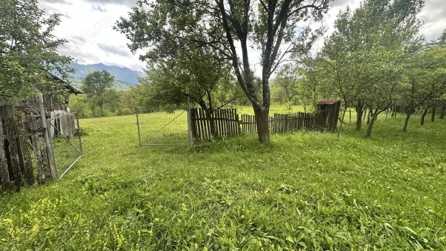 Teren de 3102 mp, în Blănoiu
