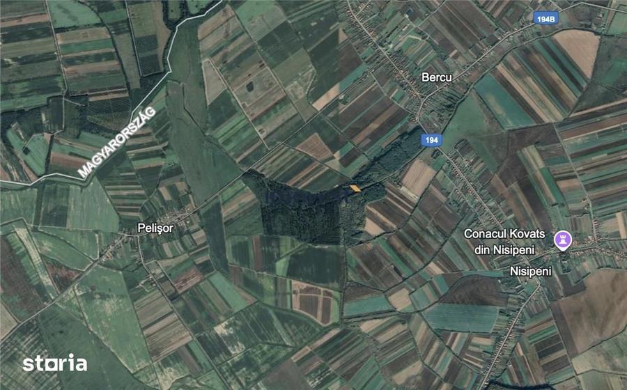 Teren de 10000 mp, în Lazuri