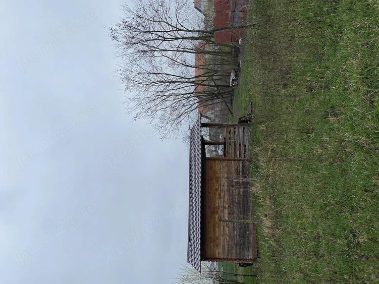 Teren de 5000 mp, în Lazuri