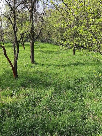 Teren de 1000 mp, în Jiblea Veche