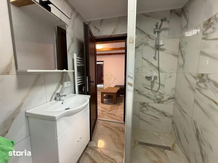 Apartament cu 2 camere în Medieșu Aurit