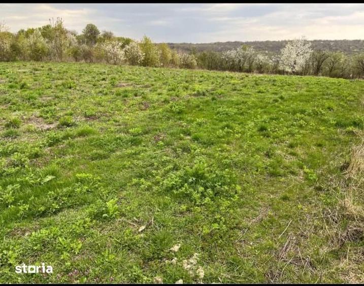 Teren de 4000 mp, în Grajduri
