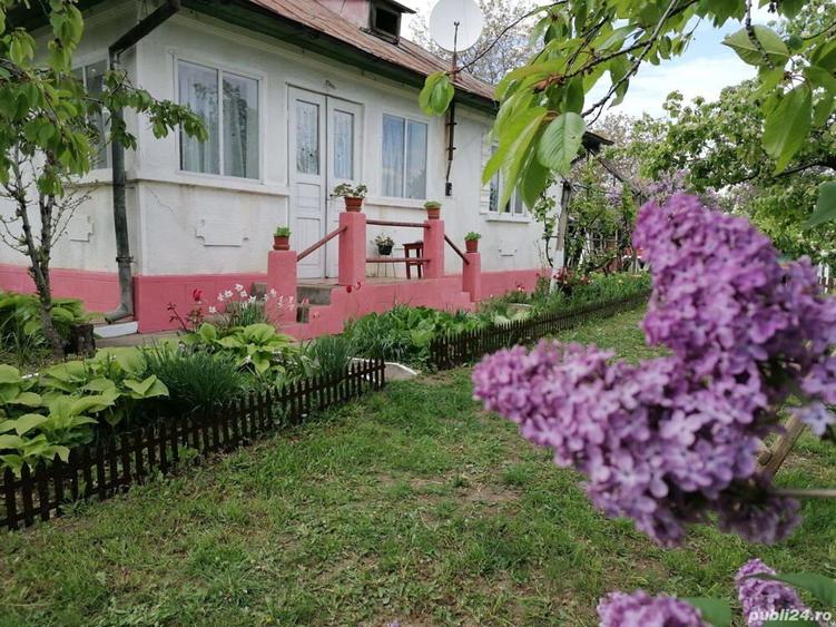 Casa cu teren, ultracentral , Cotnari, Ia?i - 8