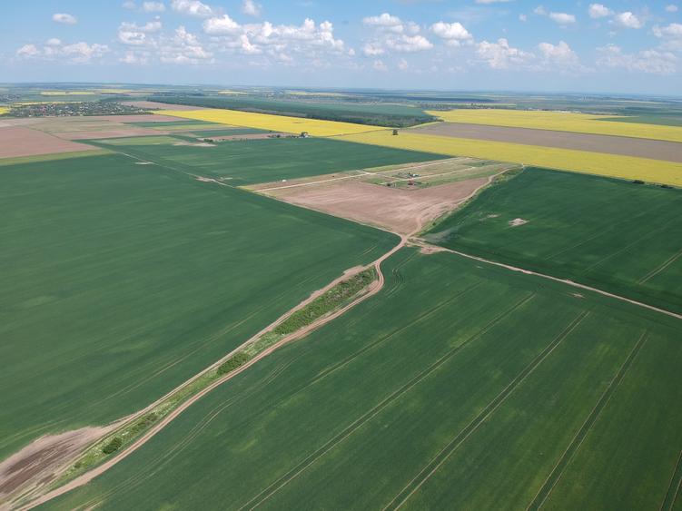 Teren Construcții intravilan de 4750 mp, în Frumușani