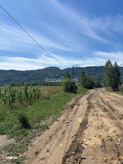 Teren de vanzare Calimanesti - Valcea