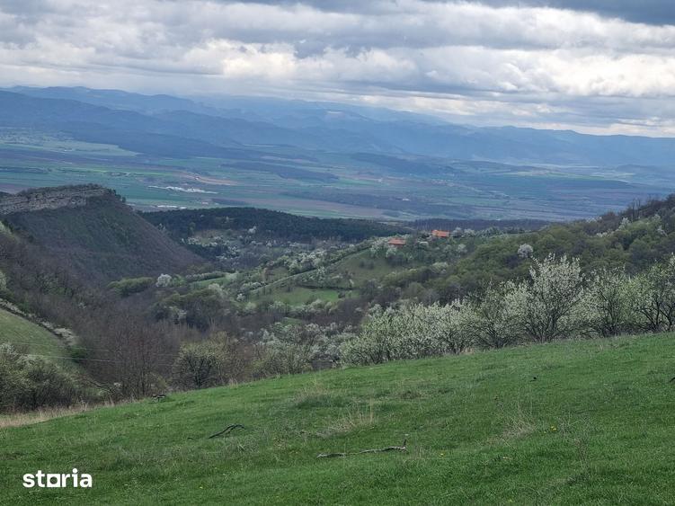 Teren de 7000 mp, în Cetate