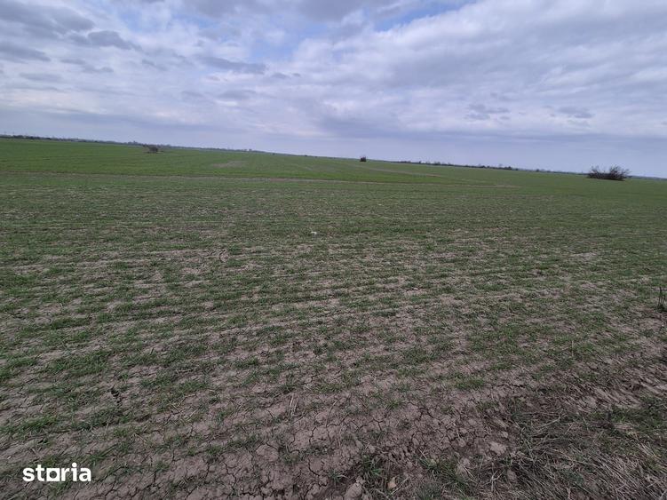 Teren de 13852 mp, în Domnești