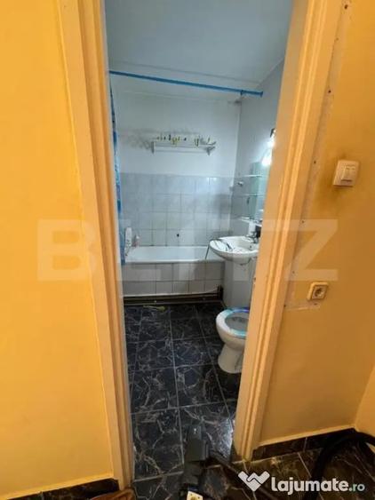 Apartament cu 2 camere decomandat în Teiu
