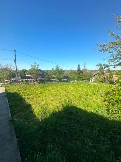 Casă individuală cu 3 camere cu Teren 5000 Mp în Plopeni