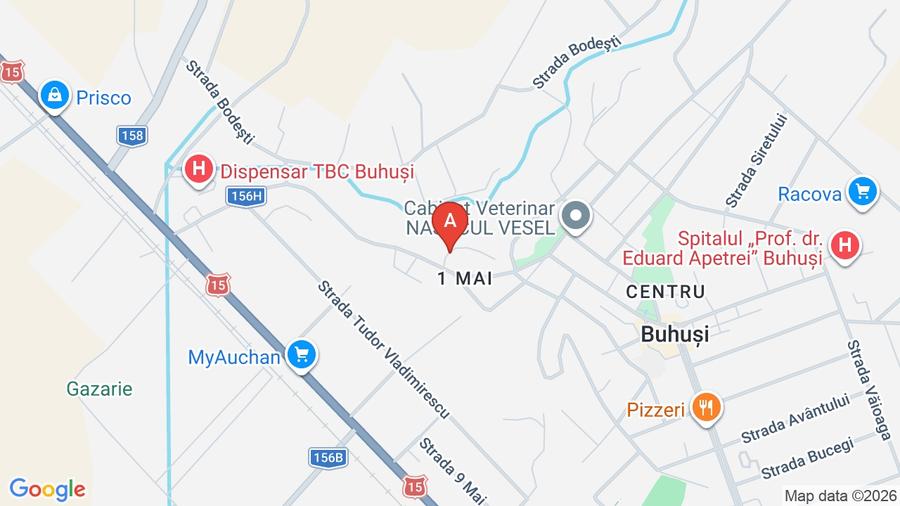 Casă individuală cu 2 camere cu Teren 400 Mp în Central