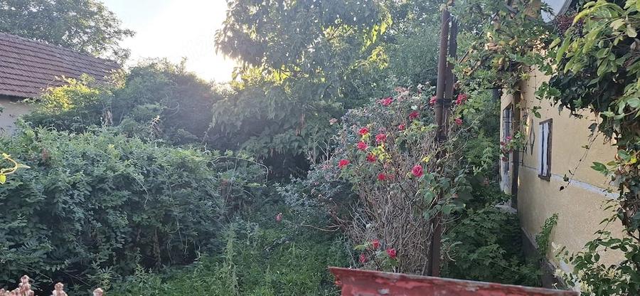 Casă cu 2 camere cu Teren 50 Mp în Central