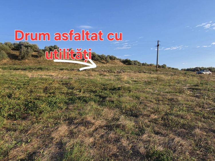 Spațiu comercial, în Nazarcea