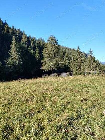 Teren de 3800 mp, în Capu Corbului