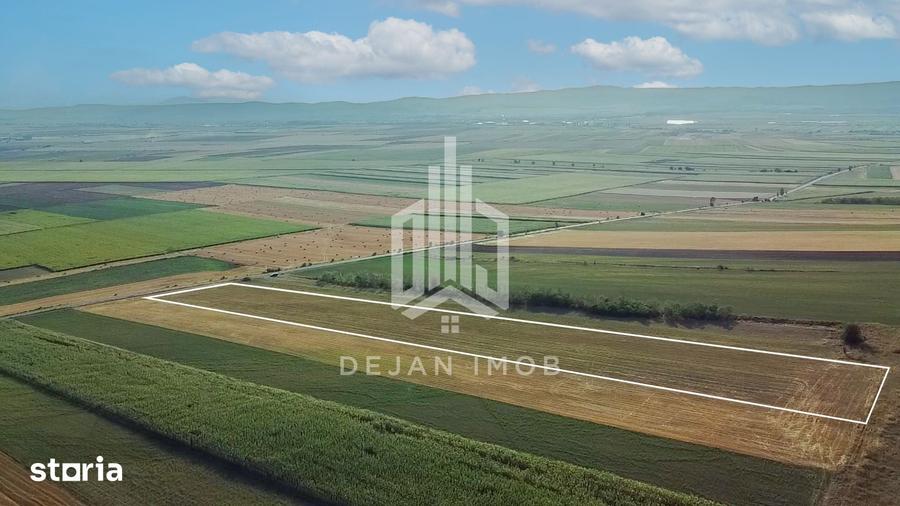 Teren de 19000 mp, în Ghidfalău