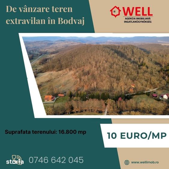 De vanzare teren extravilan in Bodvaj - 4