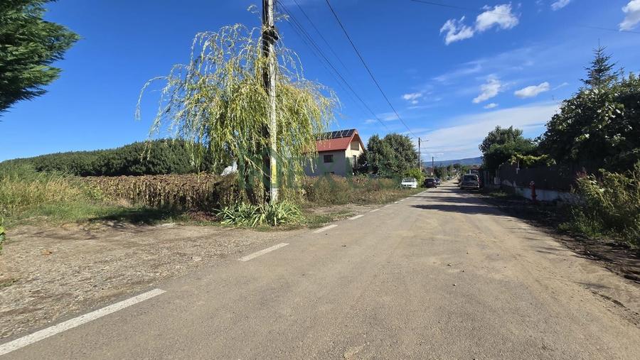 Teren Construcții intravilan de 1750 mp, în Nicolae Bălcescu